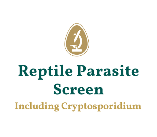 Reptile parasite test that includes cryptosporidium