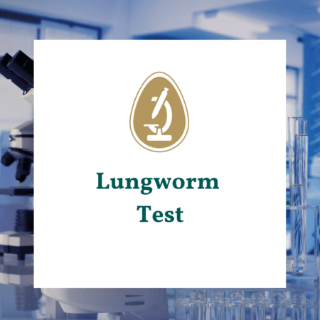 lungworm test for dogs