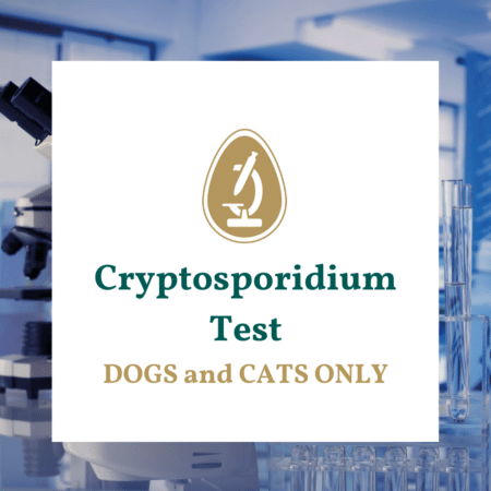 Cryptosporidium test for dogs and cats