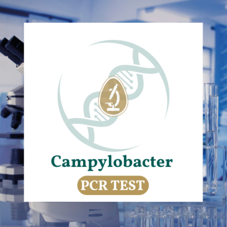 Campylobacter test for dogs