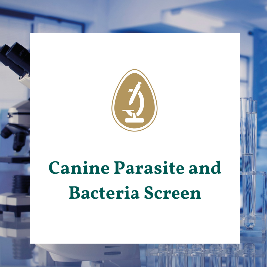 Parasite / worm count test for dogs. Including salmonella and campylobacter tests for dogs.