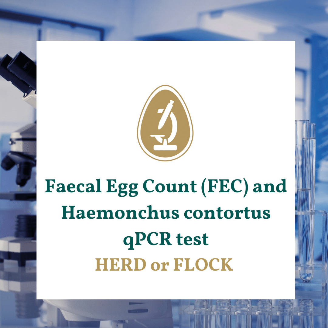 Faecal Egg Count (FEC) and Haemonchus contortus qPCR test