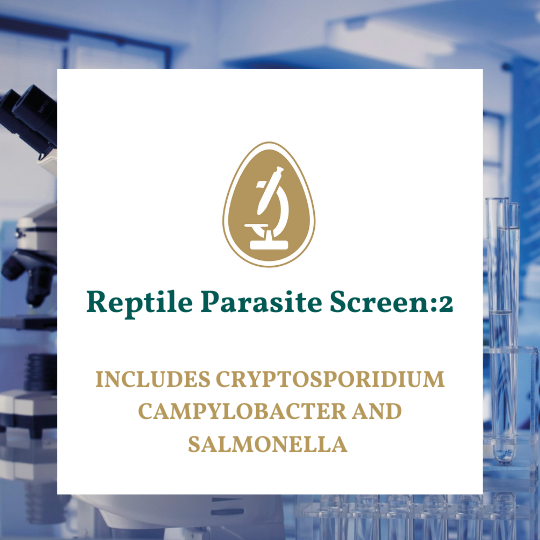 Reptile parasite screen and bacteria tests