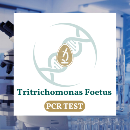 Tritrichomonas foetus test for cats