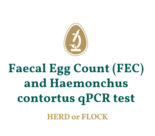 Haemonchus contortus Test for Sheep.