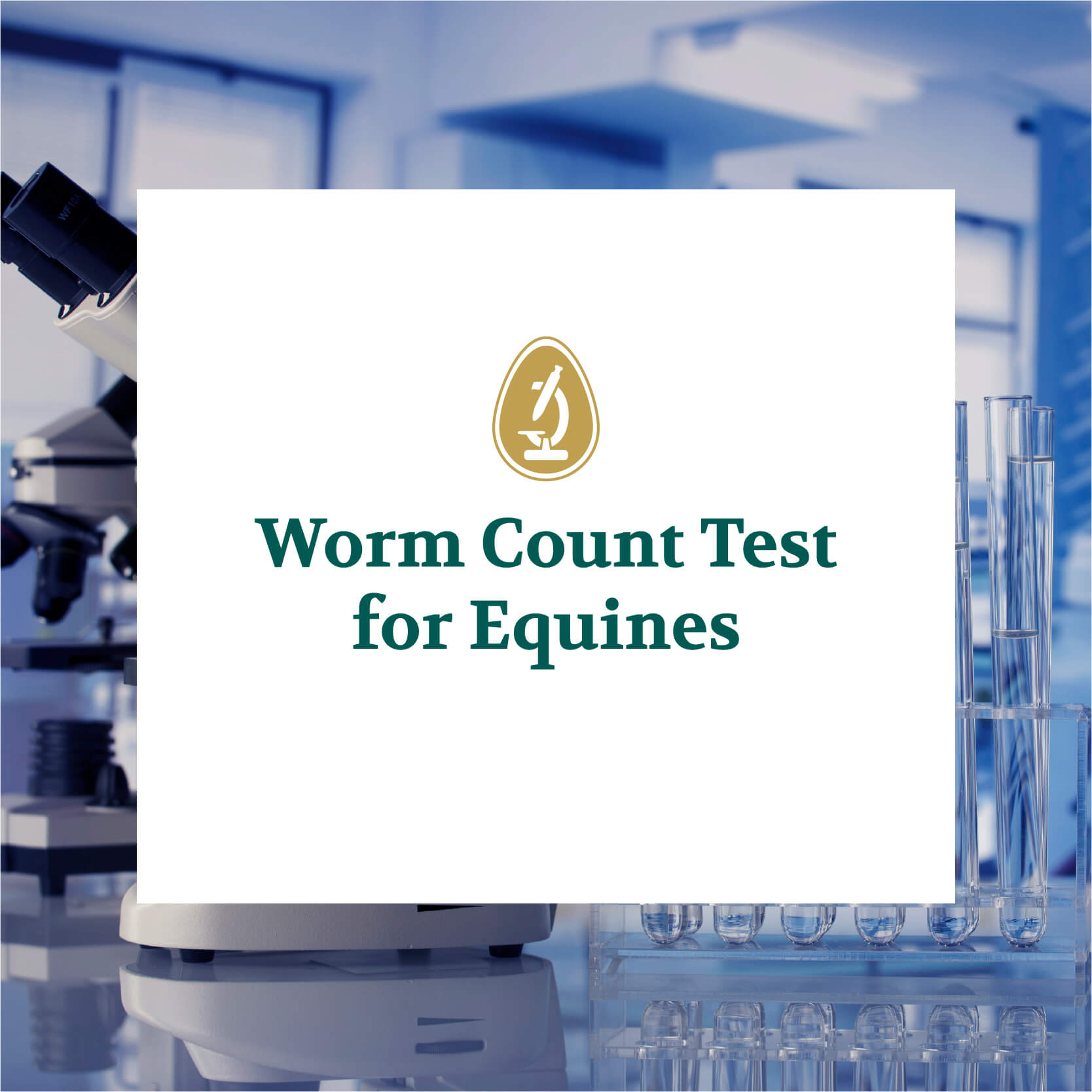 Worm count test for horses