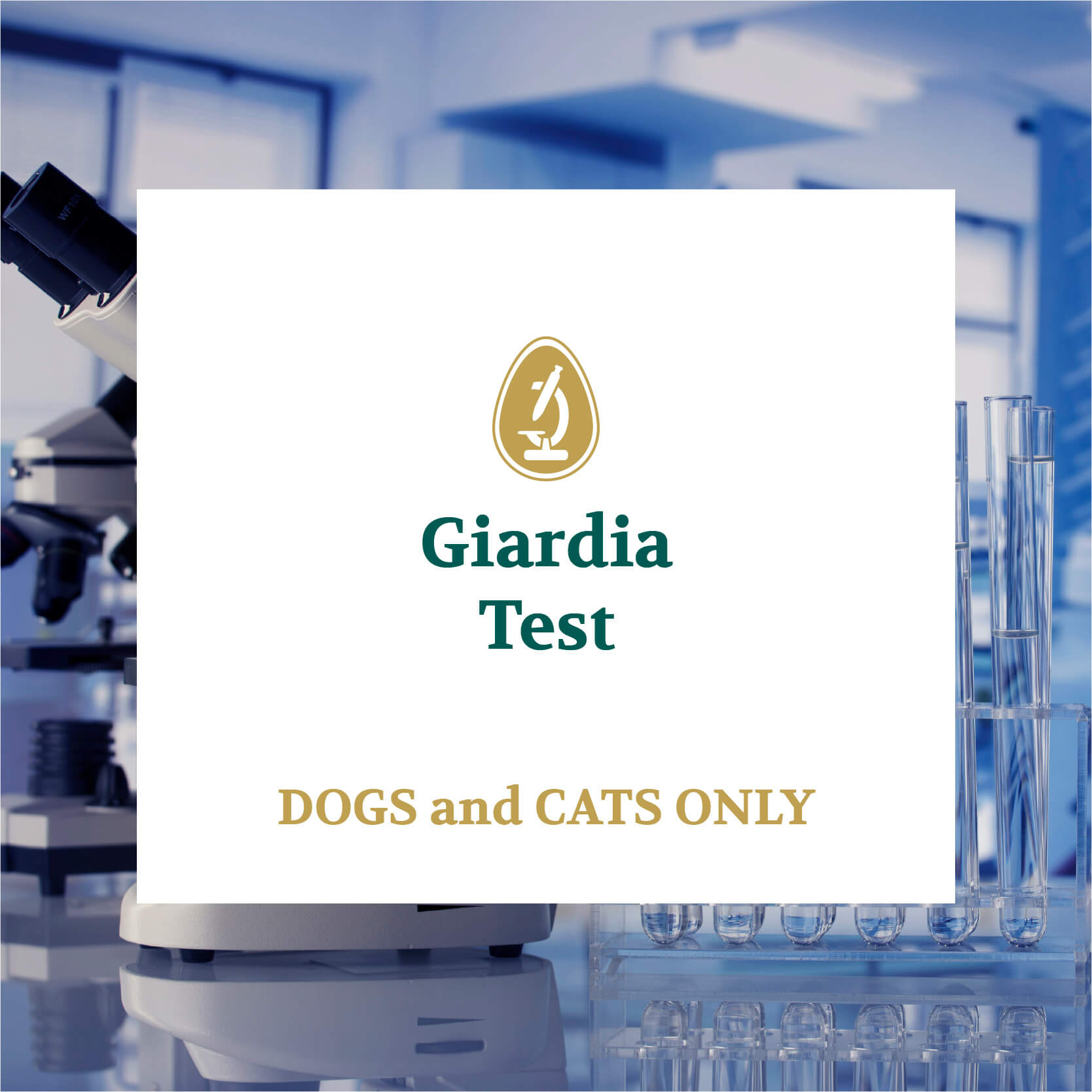 giardia test for dogs